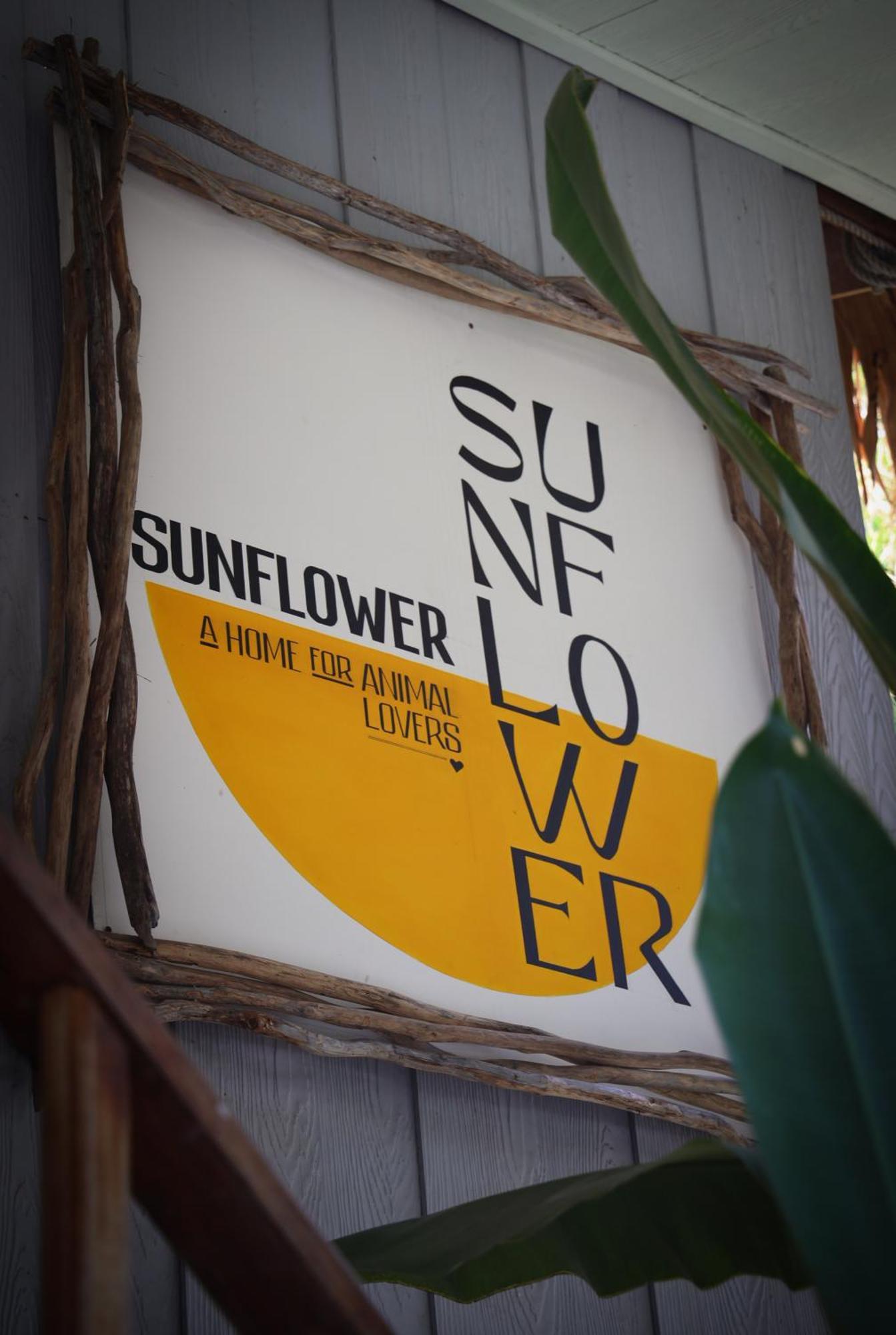 Sunflower Guesthouse And Animal Rescue - 코 리페 외부 사진