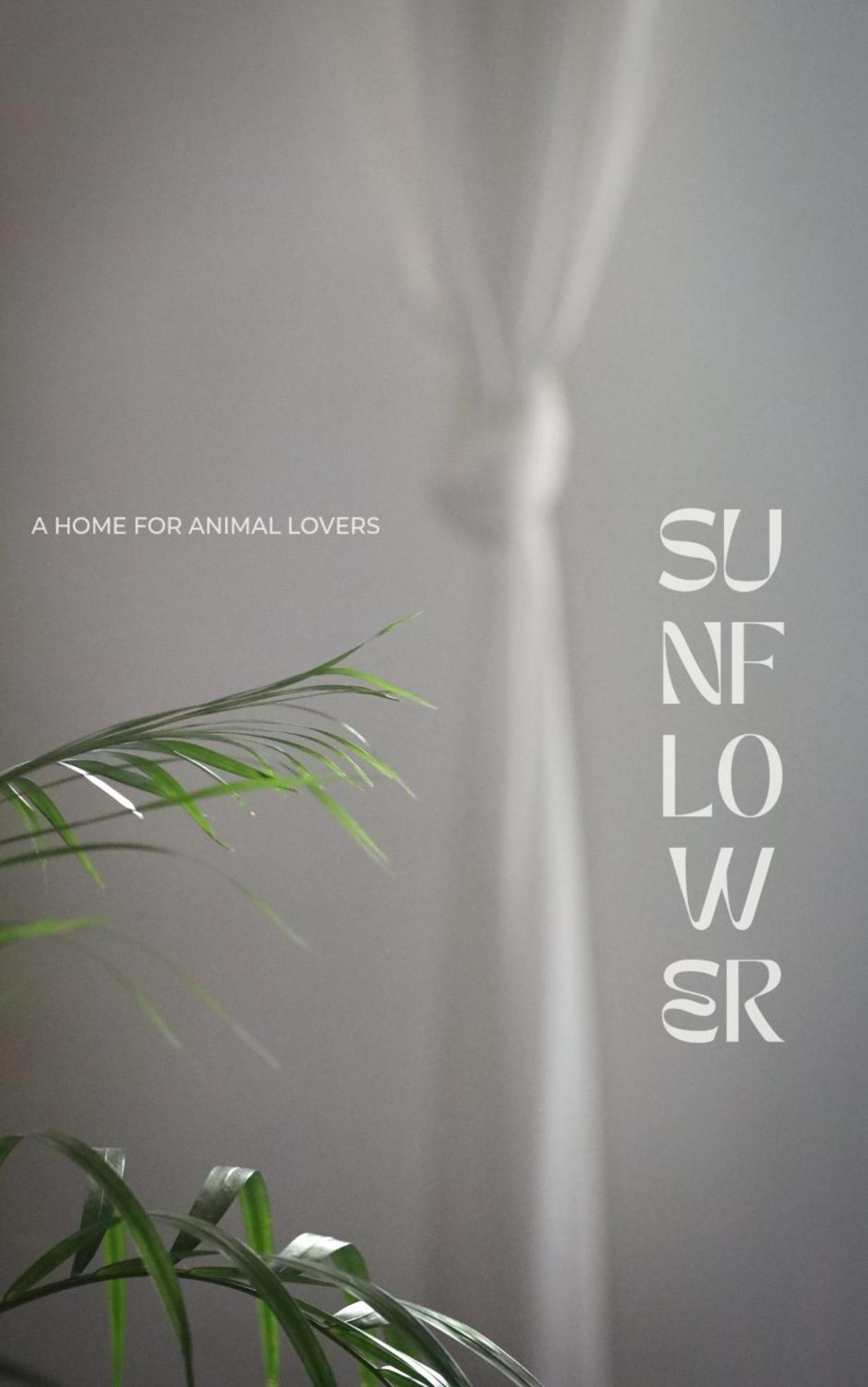 Sunflower Guesthouse And Animal Rescue - 코 리페 외부 사진